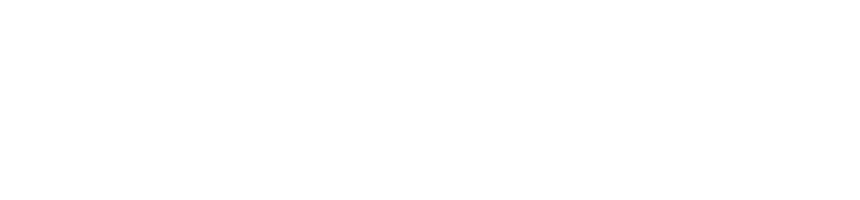 Neuron Builder
