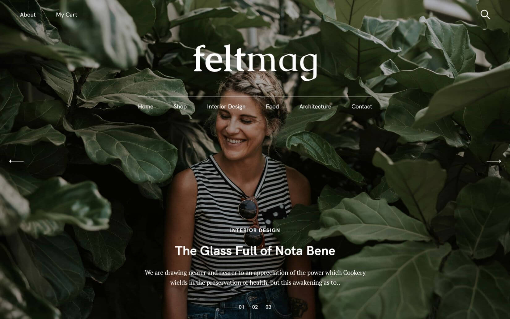 Felt Magazine - Best Blog and Magazine WordPress Themes for 2021