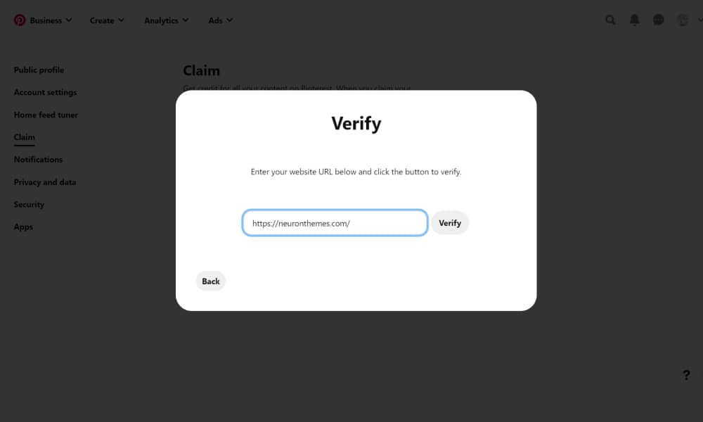 Pinterest verified WordPress website - Verify website