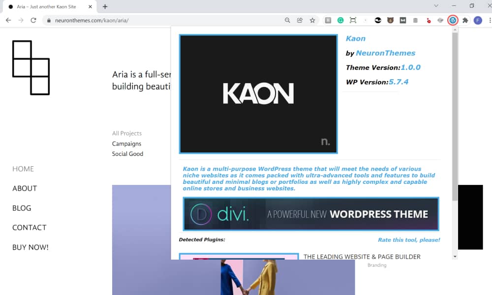 Browser extension to identify what WordPress theme